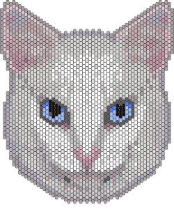 Dust Bunny cat face pattern